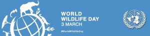 World Wild Life day March 3rd UN Logo
